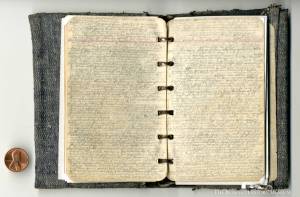 Pages from Albert Chestnut's diary, from the collection of The Buffalo History Museum.